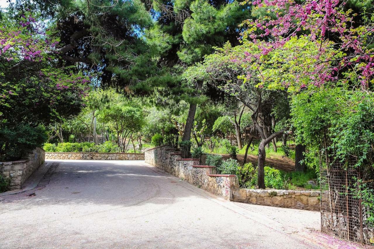 Charming Apartment Near Panathenaic Stadium Bagian luar foto